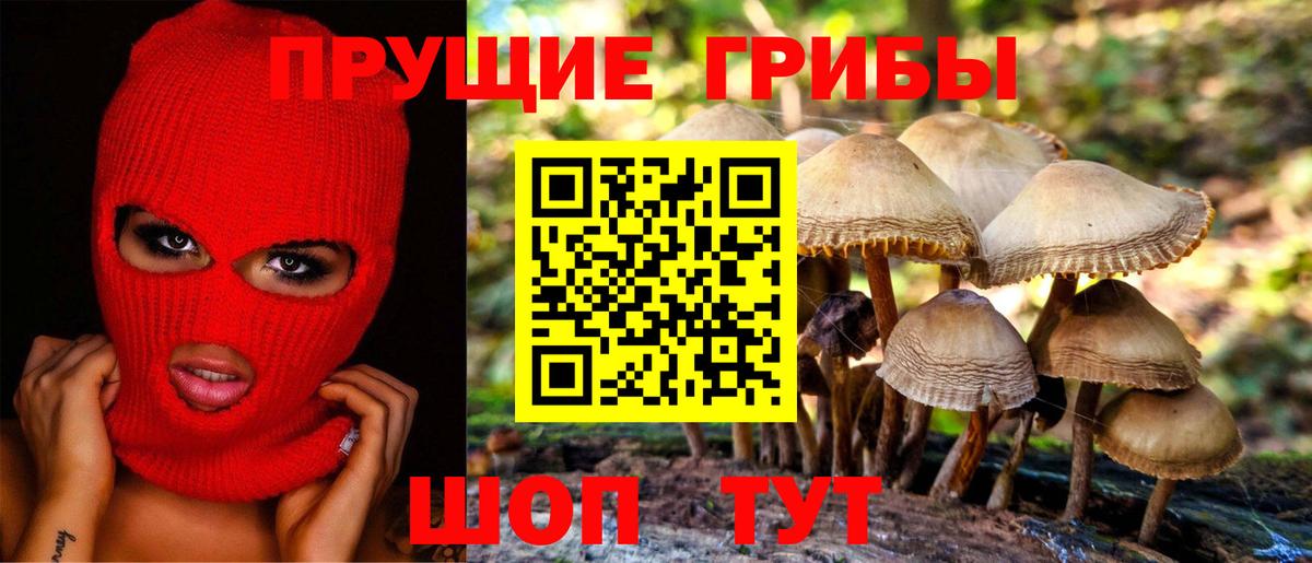 Псилоцибиновые грибы Psilocybe Чехов