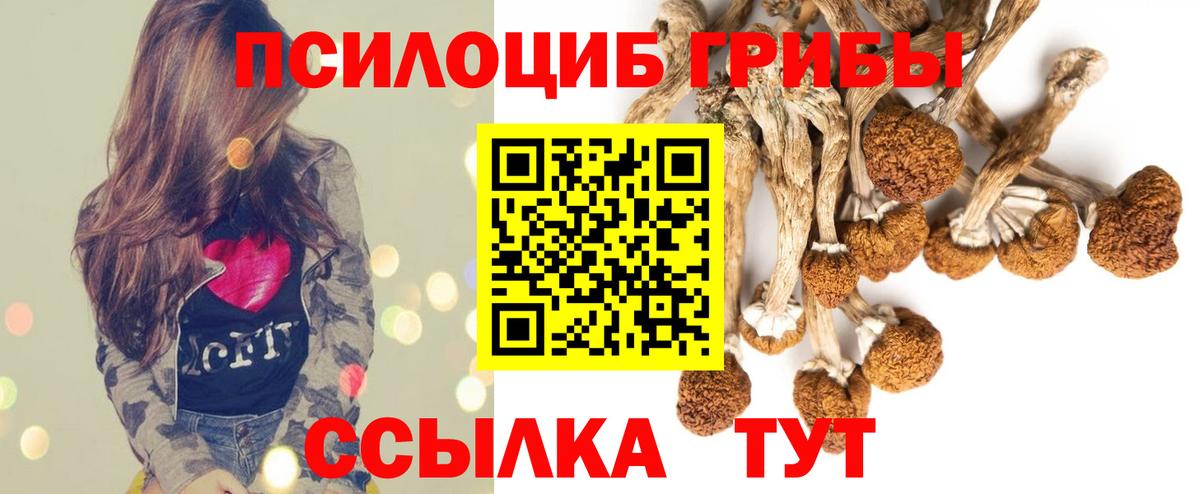 Чехов  Псилоцибиновые грибы MAGIC MUSHROOMS  Вход с VPN 
